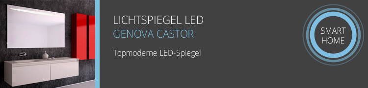 Smart Spiegel Genova Castor LED
